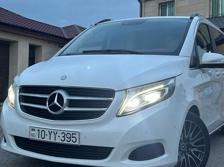 Mercedes Viano 2014