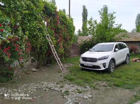 Kia Sorento 2020