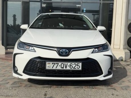 Toyota Corolla 2024