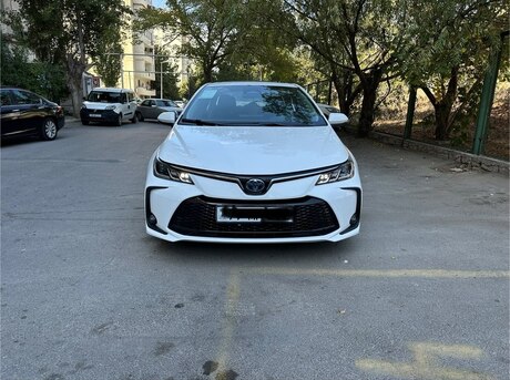Toyota Corolla 2024