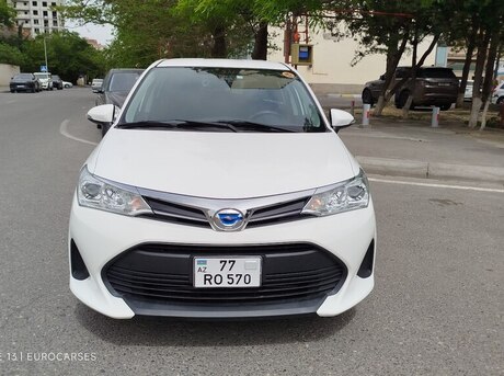 Toyota Corolla Fielder 2019