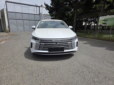 BYD Destroyer 05 2024
