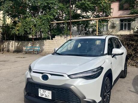 Toyota  2024
