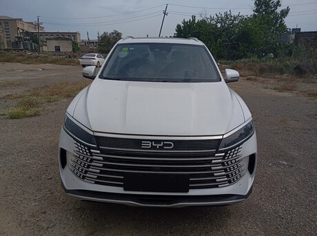 BYD  2024