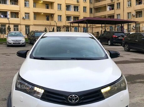 Toyota Corolla 2013