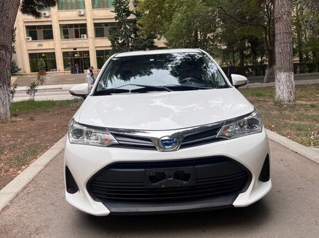 Toyota Corolla Fielder 2019