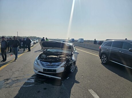 Hyundai Sonata 2010