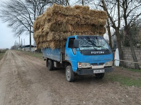 Foton Forland 2007
