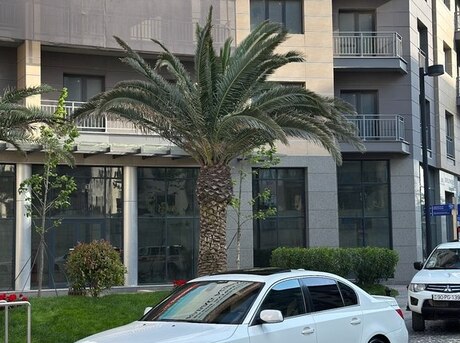 BMW 525 2006
