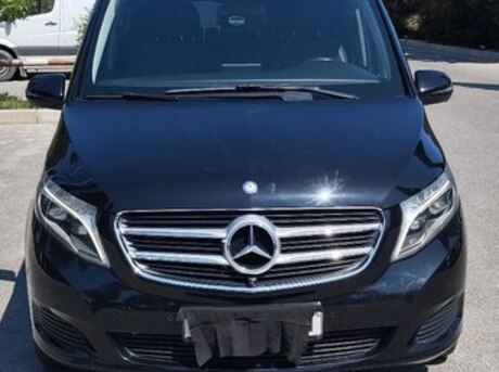 Mercedes Viano 2016