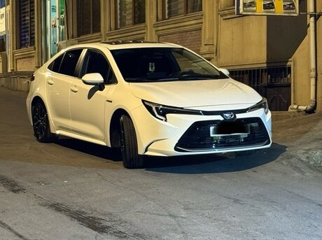 Toyota  2024