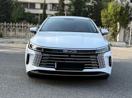 BYD Destroyer 05 2024