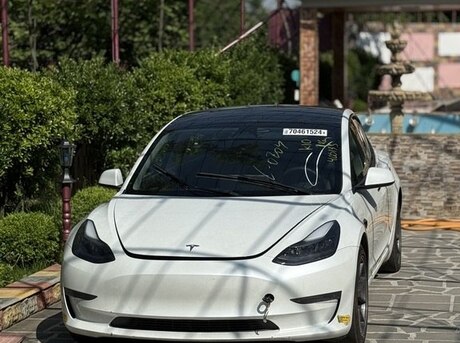 Tesla Model 3 2022