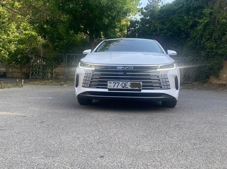 BYD Destroyer 05 2024