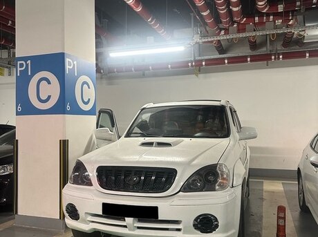 Hyundai Terracan 2004