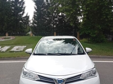 Toyota Corolla Fielder 2019