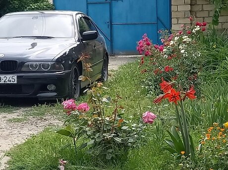BMW 535 1998