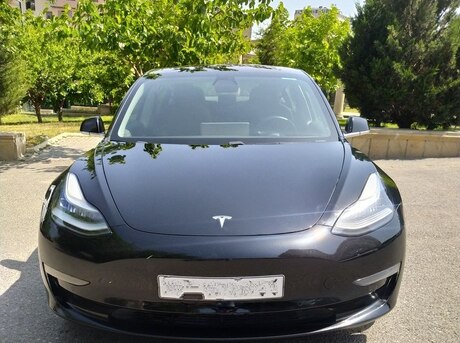 Tesla Model 3 2019