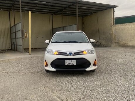 Toyota Corolla Fielder 2019