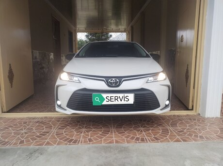 Toyota Corolla 2019