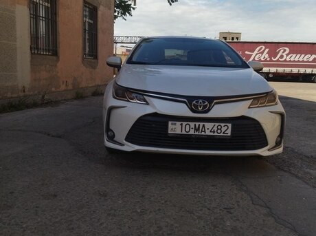 Toyota Corolla 2021