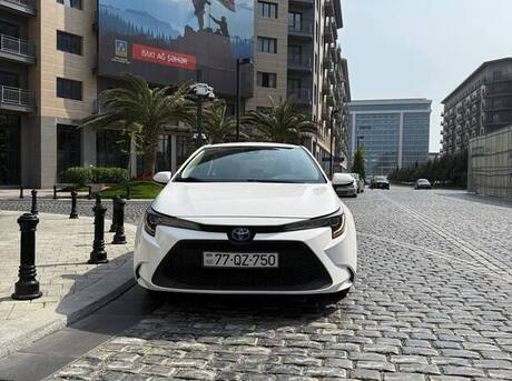 Toyota Corolla 2019