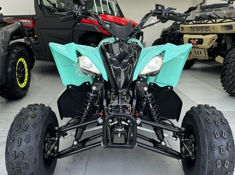Mikilon PENTORA 110R-EFI