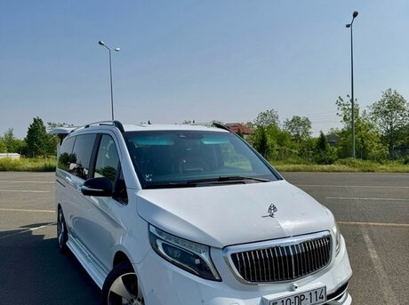 Mercedes Viano