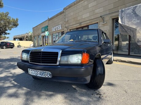 Mercedes 190 1991