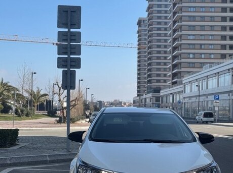 Toyota Corolla 2014