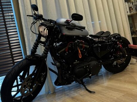 Harley-Davidson XL883N Sportster Iron 883