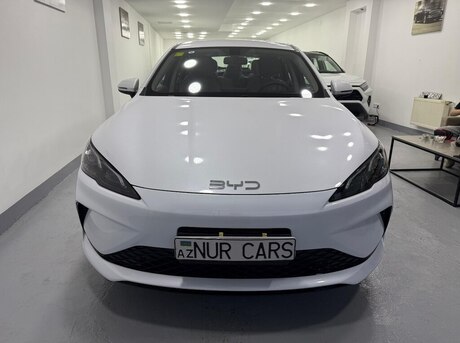 BYD  2025