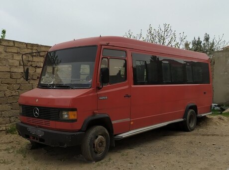 Mercedes 609 D