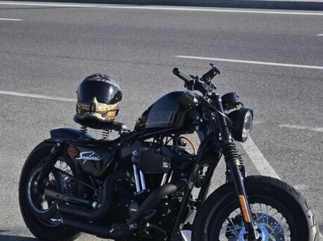 Harley-Davidson  2012