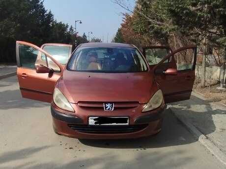 Peugeot 307 2002