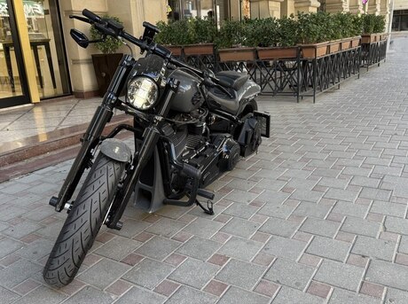 Harley-Davidson  2018
