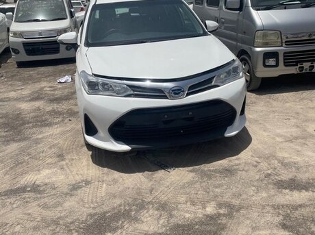 Toyota Corolla Fielder 2019