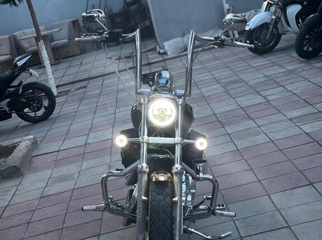 Harley-Davidson Sportster Custom 1200 2009