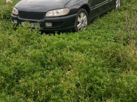 Opel Omega 1994