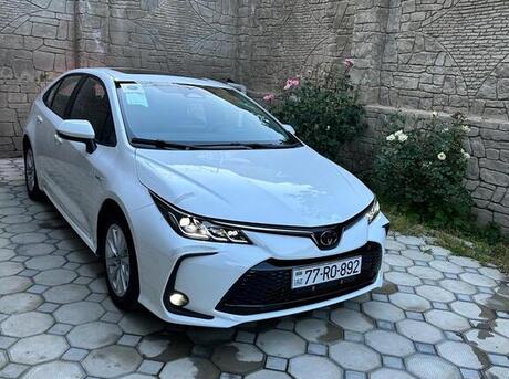 Toyota Corolla 2025