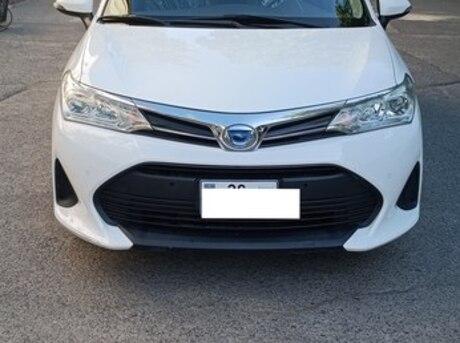 Toyota Corolla Fielder 2019