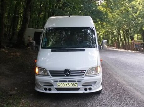 Mercedes Sprinter 313 2004