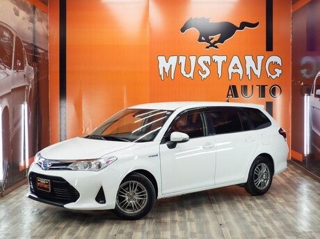 Toyota Corolla Fielder 2019