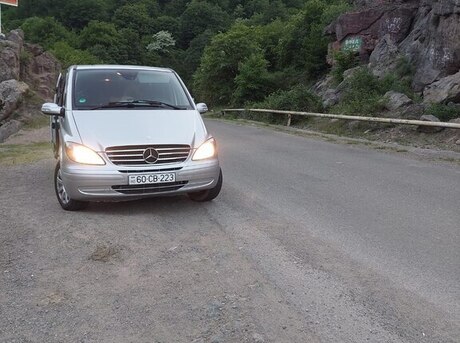 Mercedes Viano