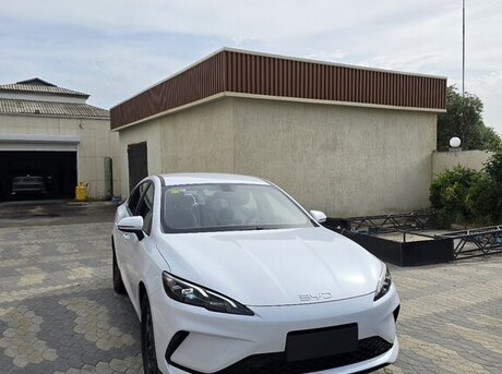 BYD  2025