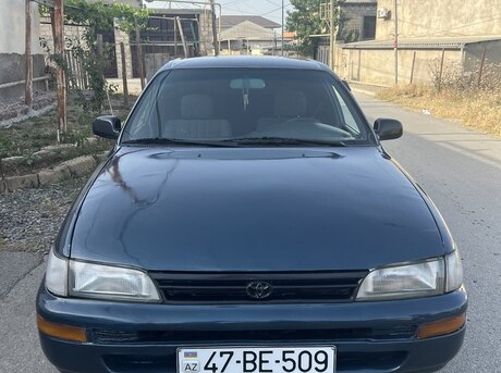 Toyota Corolla 1996