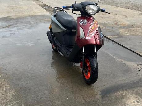 Mondial 100 Loyal