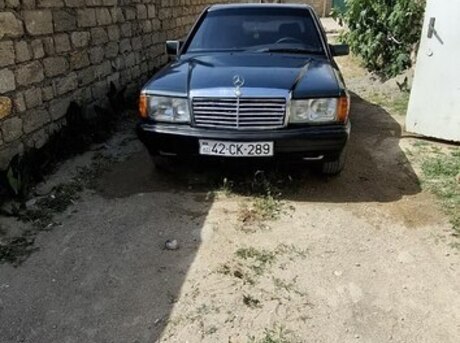 Mercedes 190 1991