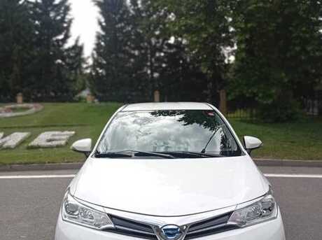Toyota Corolla Fielder 2019
