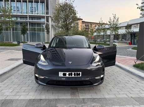 Tesla Model Y 2024